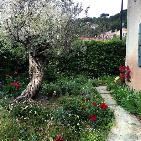 Villa Maison Serra - Jacuzzi, Sauna *