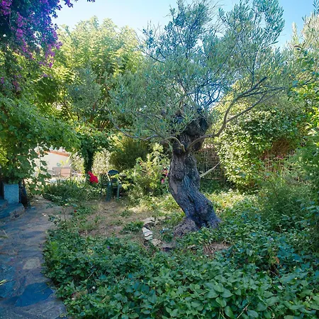 Maison Serra - Jacuzzi, Sauna Collioure